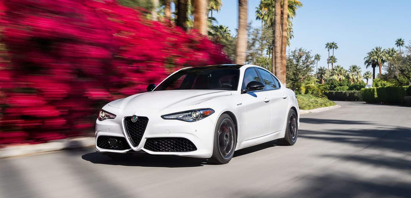 Display A white 2023 Alfa Romeo Giulia Veloce being driven on a road past a hedge of red flowers that are blurred, to indicate the speed of the vehicle.