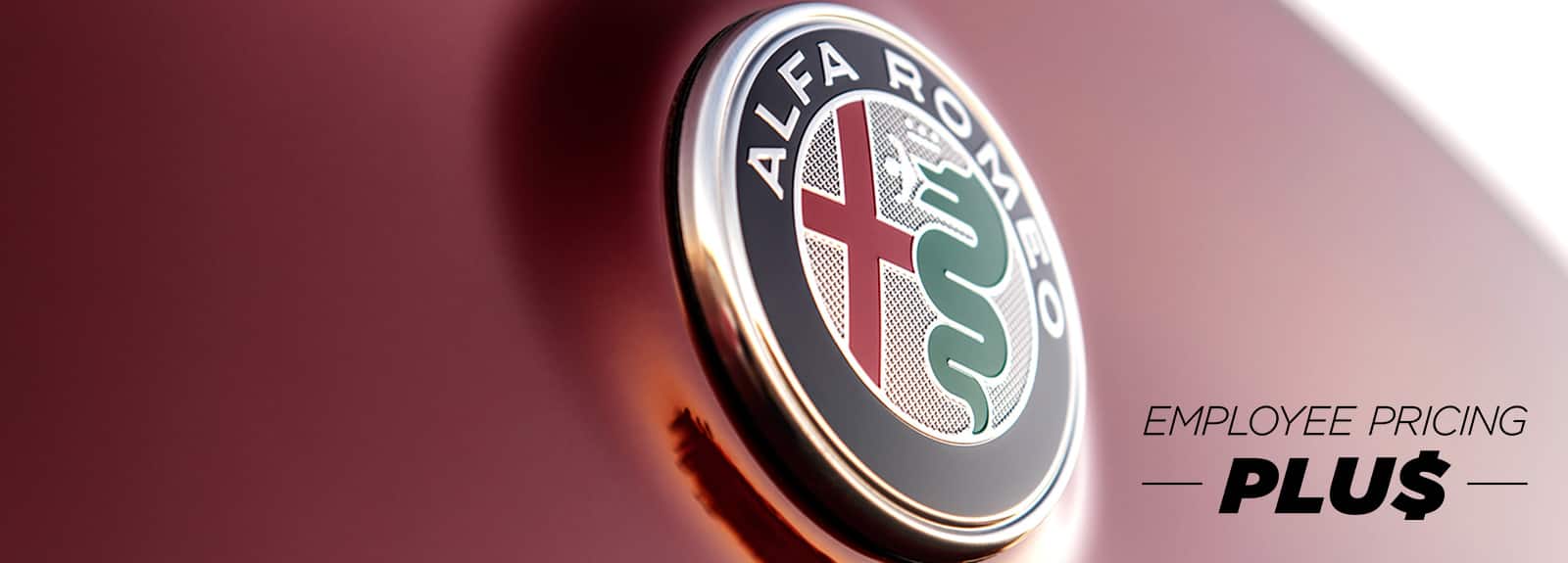 A close-up of the Alfa Romeo badge.